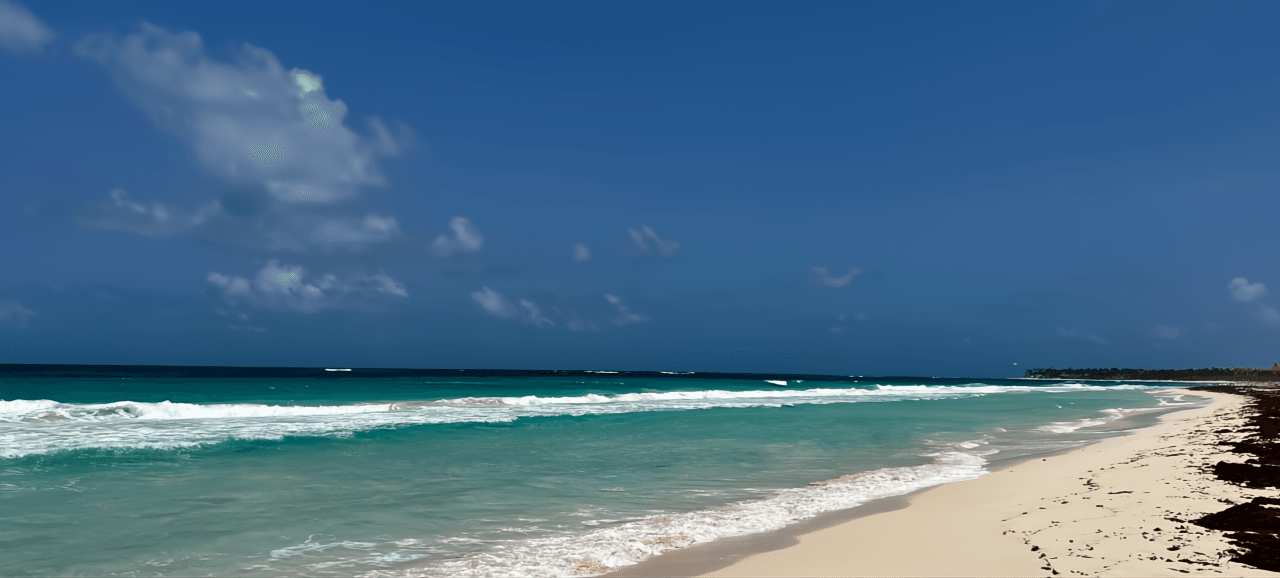 Essential Guide for Expats Buying Real Estate in Punta Cana